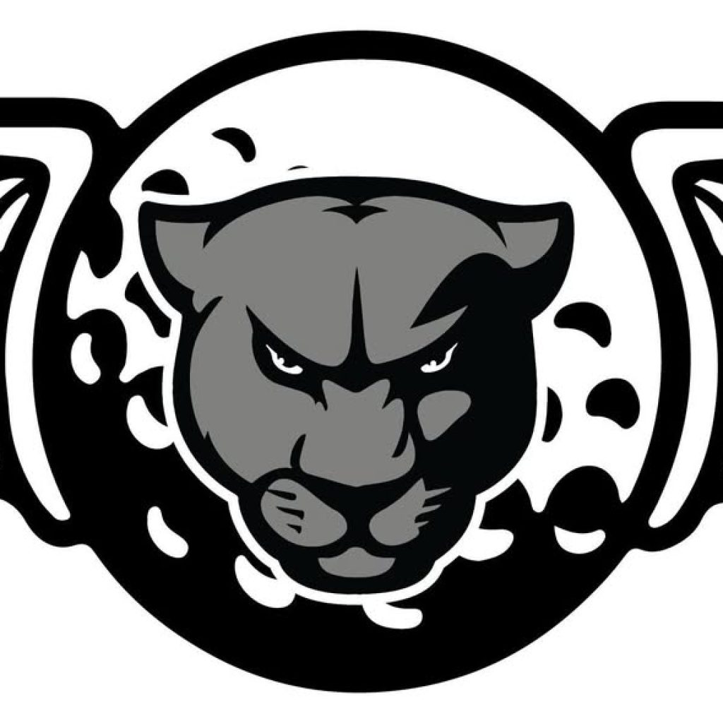 Micah "Panther" Brown Memorial Darts for Kids Golf Scramble